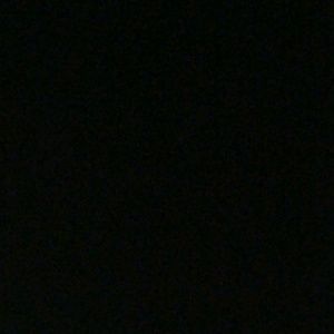 Meet your Posher, Dylan